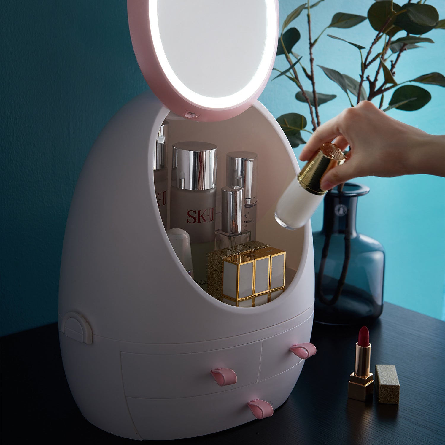 Dustproof LED Makeup Storage